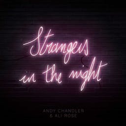 Strangers In The Night album artwork