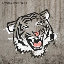 African Lifestyle 3 album artwork