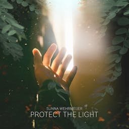 Protect The Light album artwork