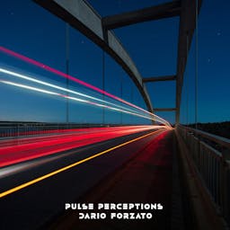 Pulse Perceptions album artwork