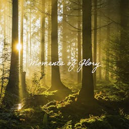 Moments Of Glory album artwork